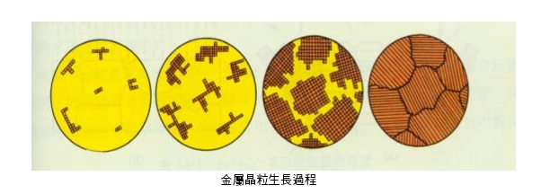 金屬晶粒生長過程